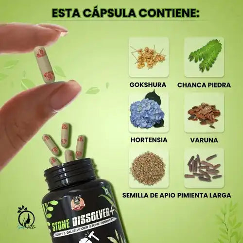 Cuida tus riñones y recupera tu energía natural