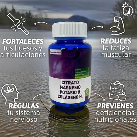 Producto