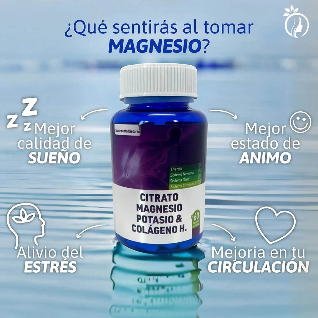 Encabezado