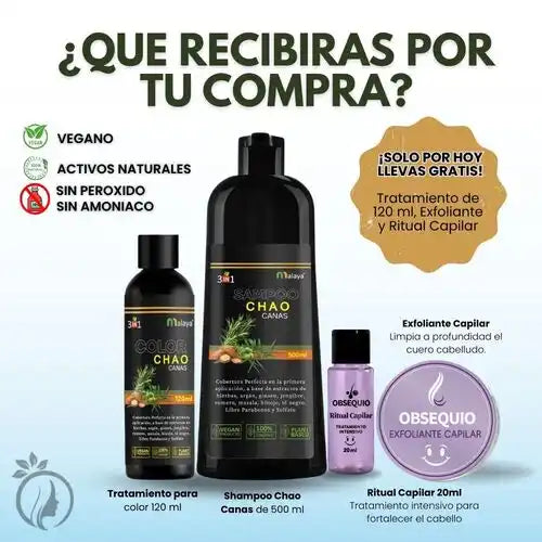 Encabezado
