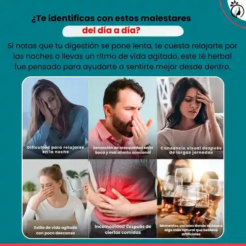 Encabezado
