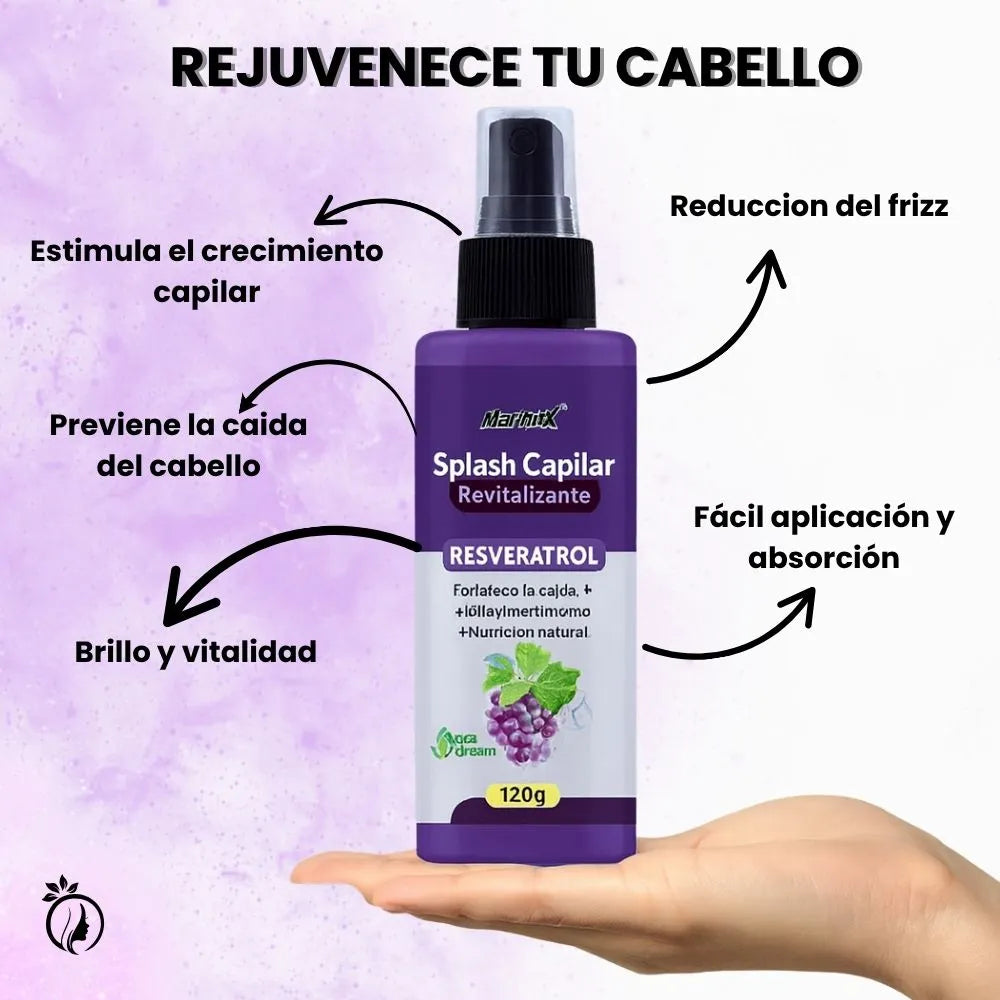 Encabezado