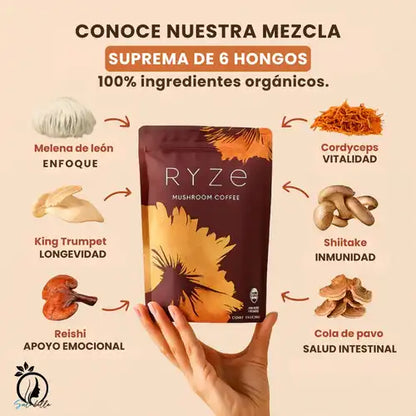 Ryze Café con Hongos