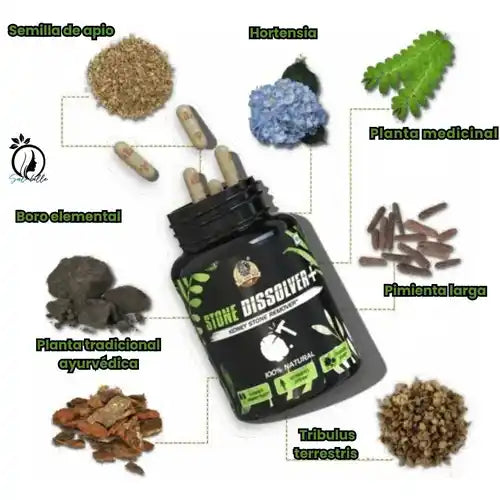 Cuida tus riñones y recupera tu energía natural