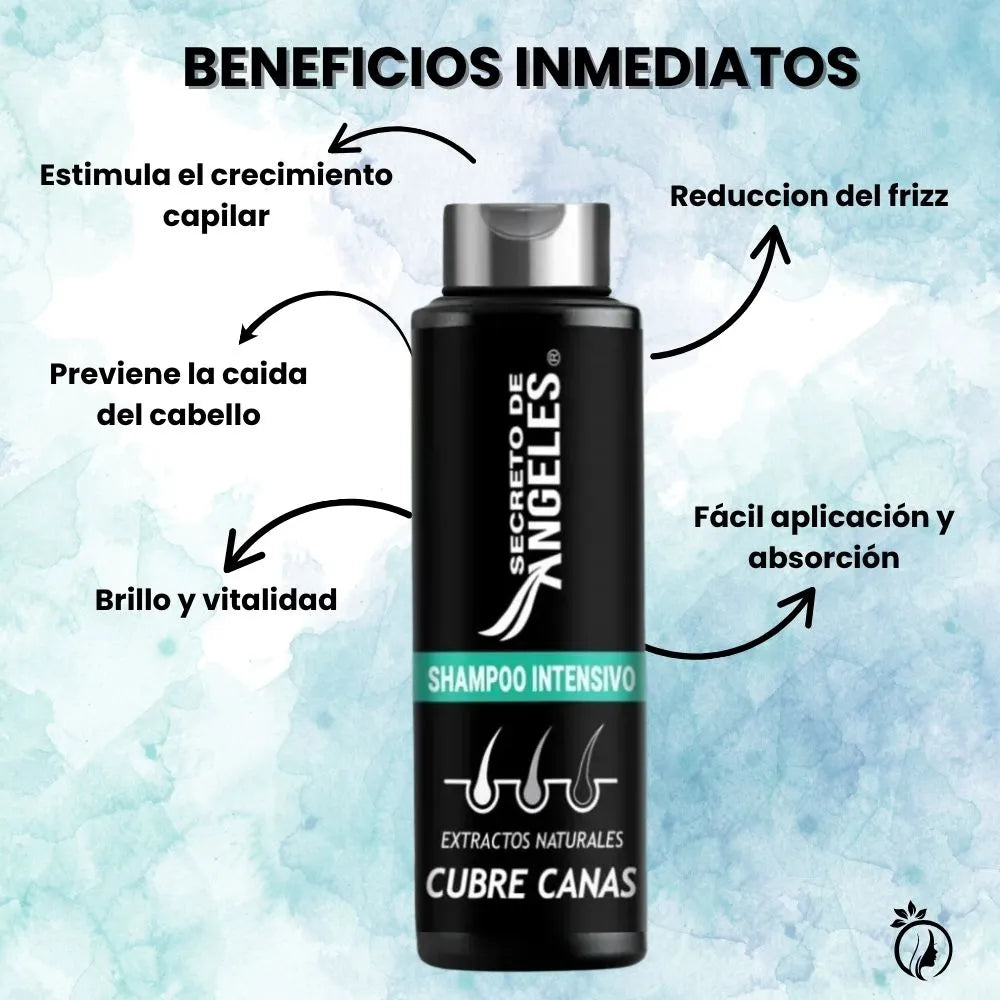 Encabezado