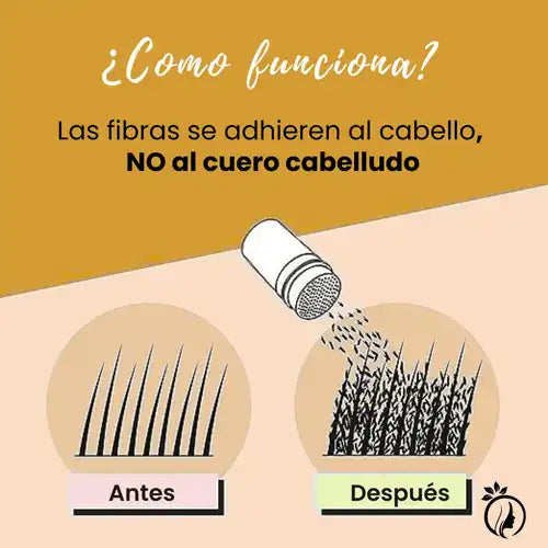Encabezado