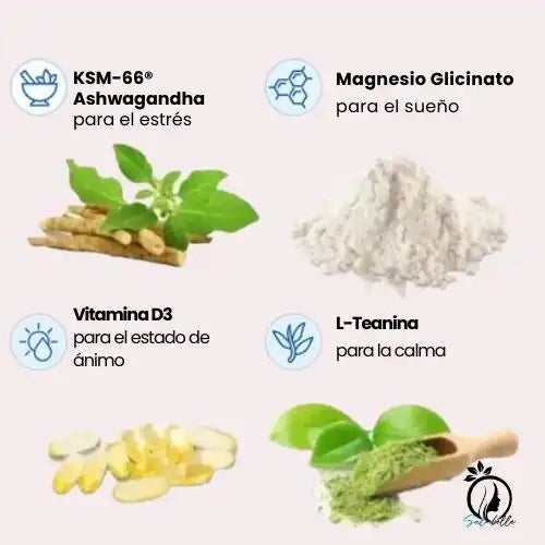 Encabezado