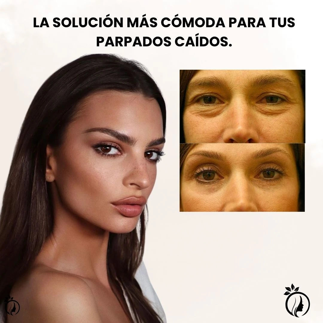 Encabezado