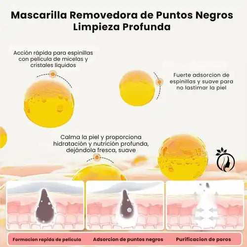 Encabezado