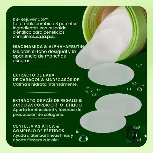 Encabezado