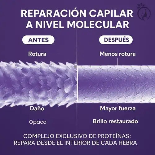 Encabezado