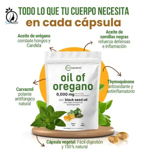 Encabezado