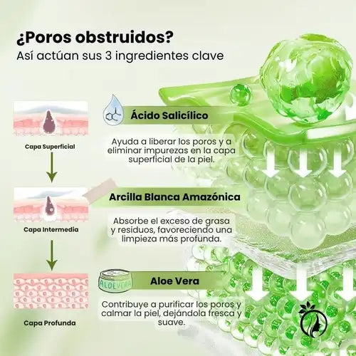 Encabezado