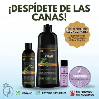Malaya® Shampoo 3 en 1 + Kit Capilar de Regalo 💜