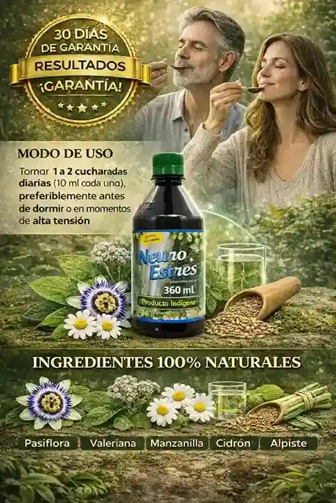 Encabezado