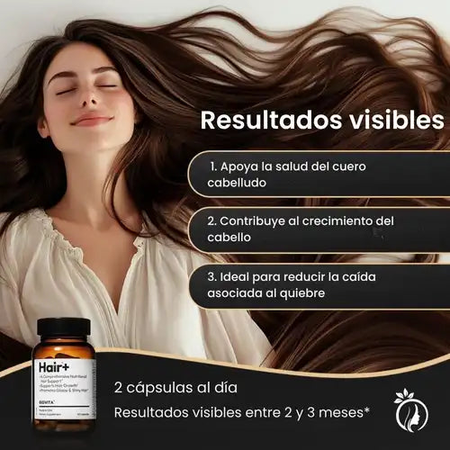 Encabezado