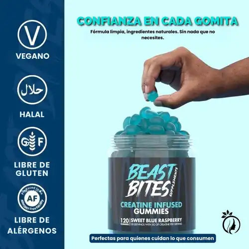 Encabezado