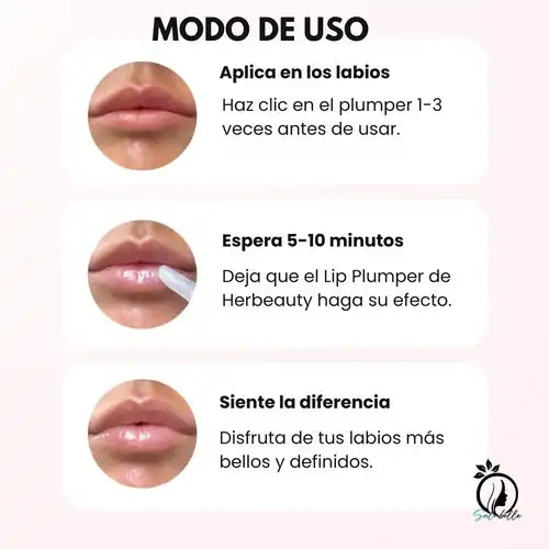 Encabezado