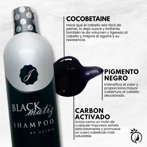 Encabezado