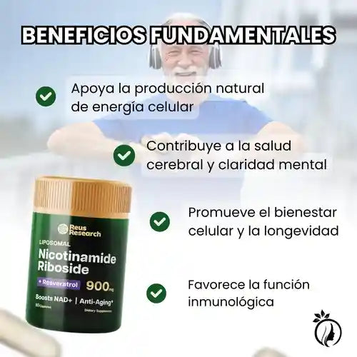 Encabezado