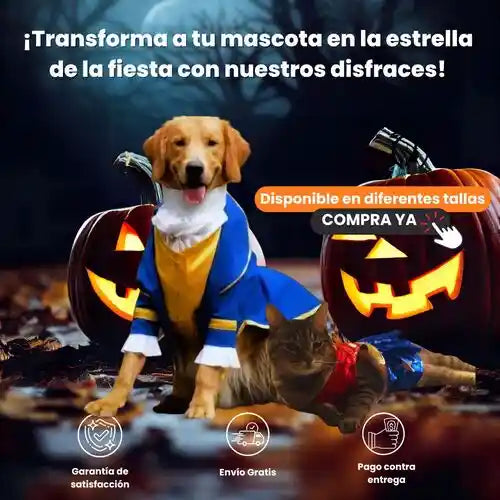 ¡Disfraces adorables para que tu mascota sea la estrella!