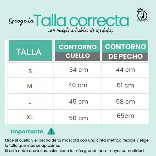 ¡Disfraces adorables para que tu mascota sea la estrella!