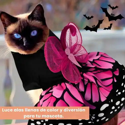 ¡Disfraces adorables para que tu mascota sea la estrella!