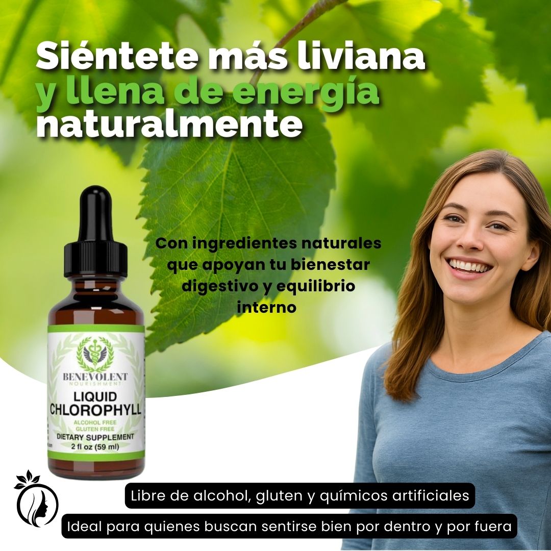 Encabezado