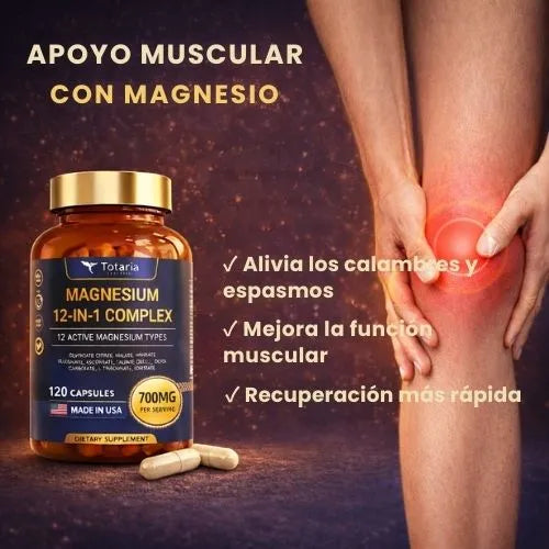 Encabezado