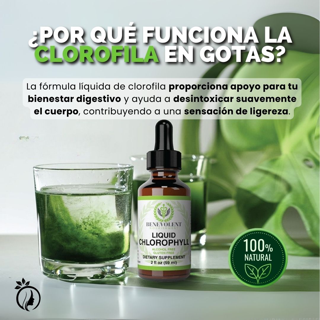 Clorofila Líquida – Limpia tu cuerpo desde adentro