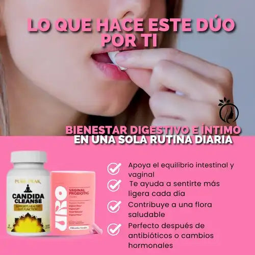 Encabezado