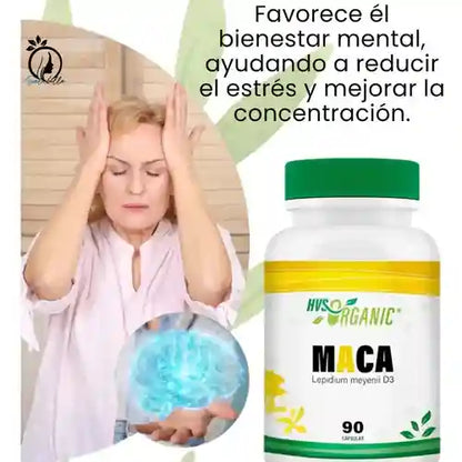 LipoCore™ – Energía y Equilibrio Hormonal Natural