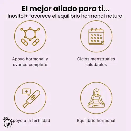 Encabezado