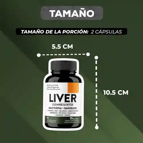 Encabezado
