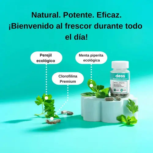 Encabezado