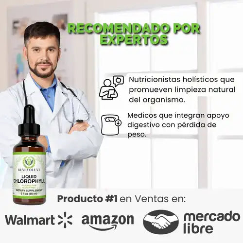 Encabezado